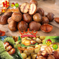 Ready to Eat Ringent Chestnuts Wholesale Packaged OEM Snacks